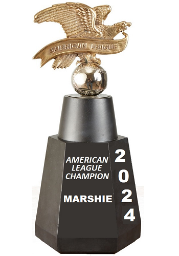 American League Champion 2024