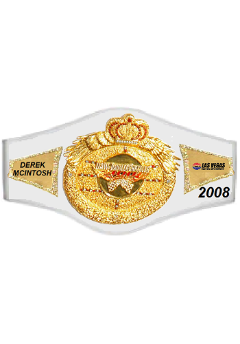 UAW Daimler/Chrysler Champion 2008