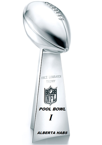 National Football League Pool Champion 1999