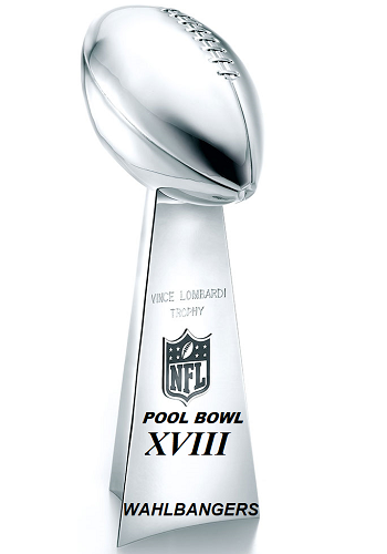 National Football League Pool Champion 2016