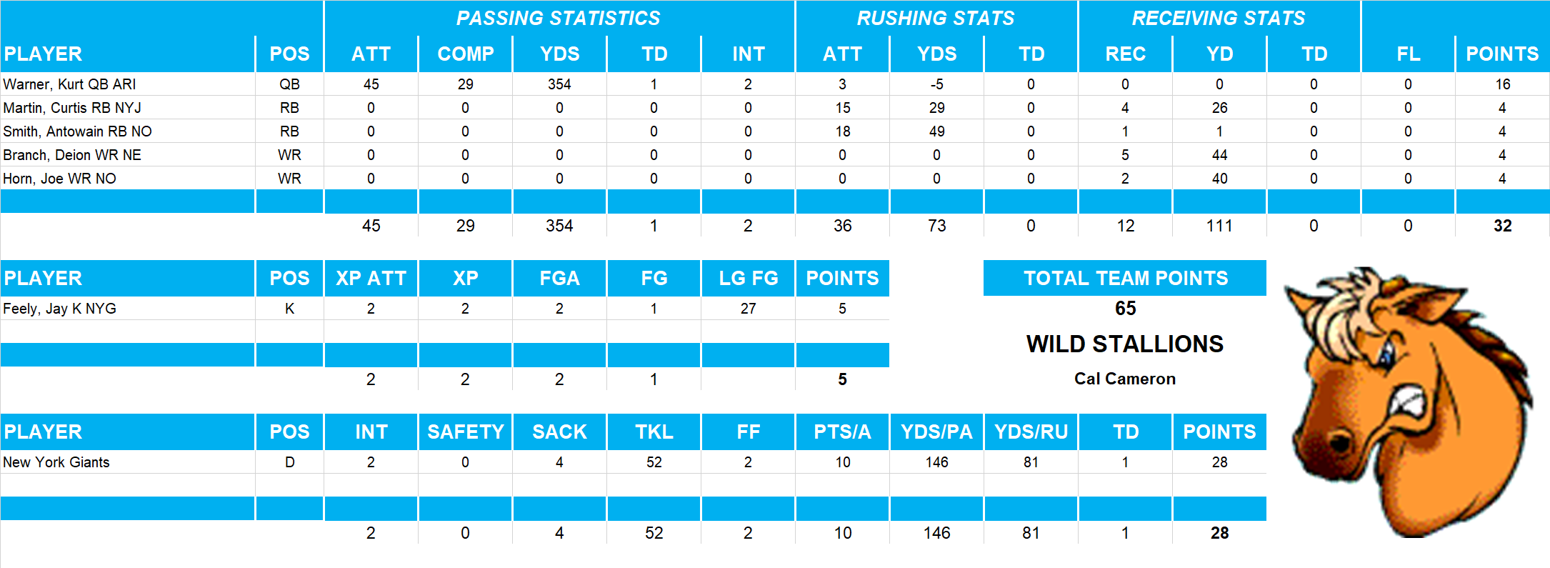 2005 National Football League Pool Playoff Team Stats