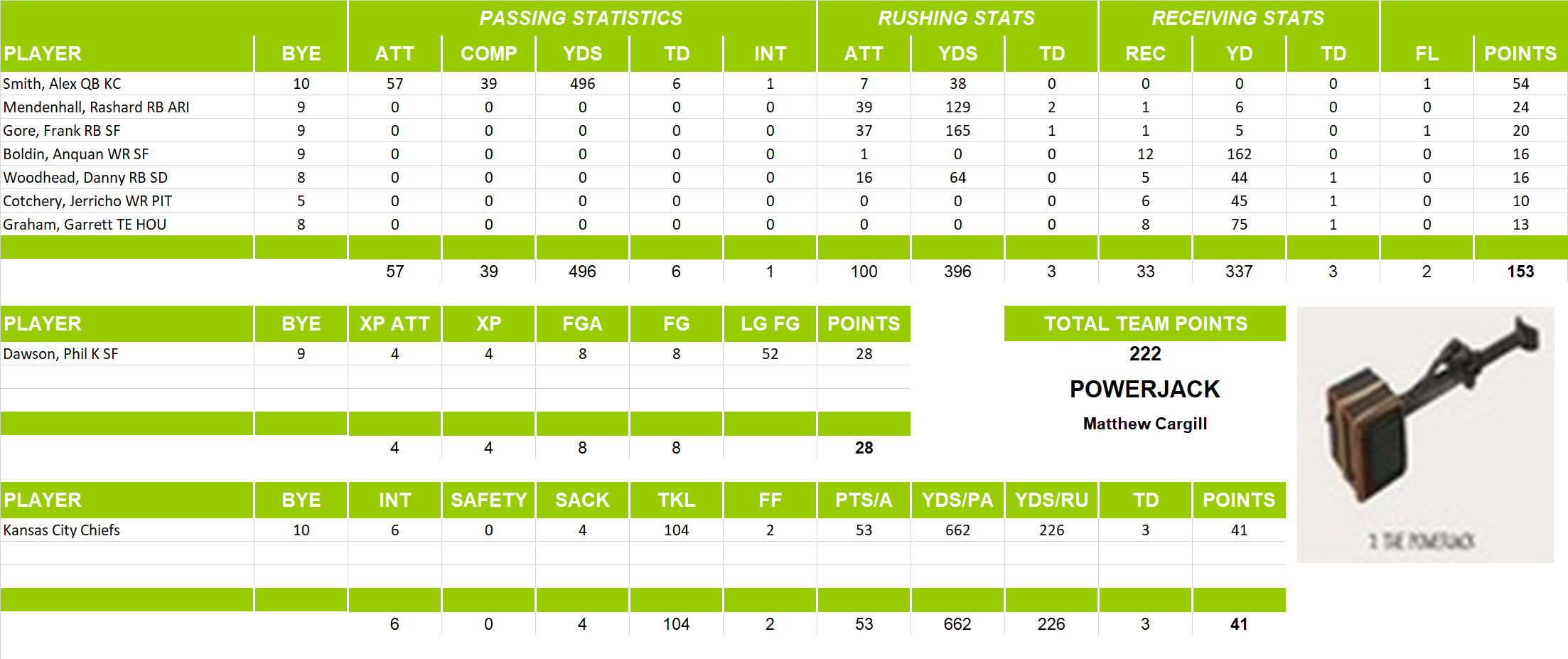 2013 National Football League Pool Playoff Team Stats