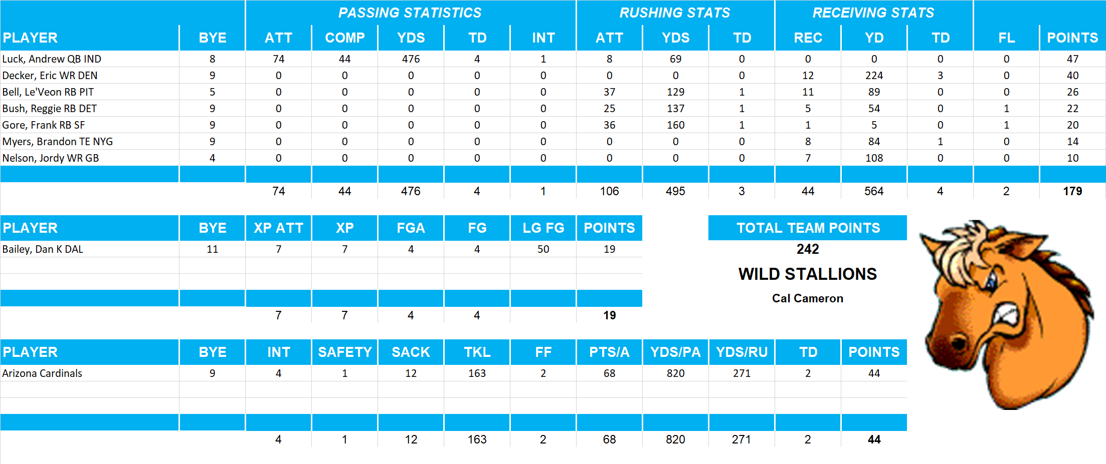 2013 National Football League Pool Playoff Team Stats