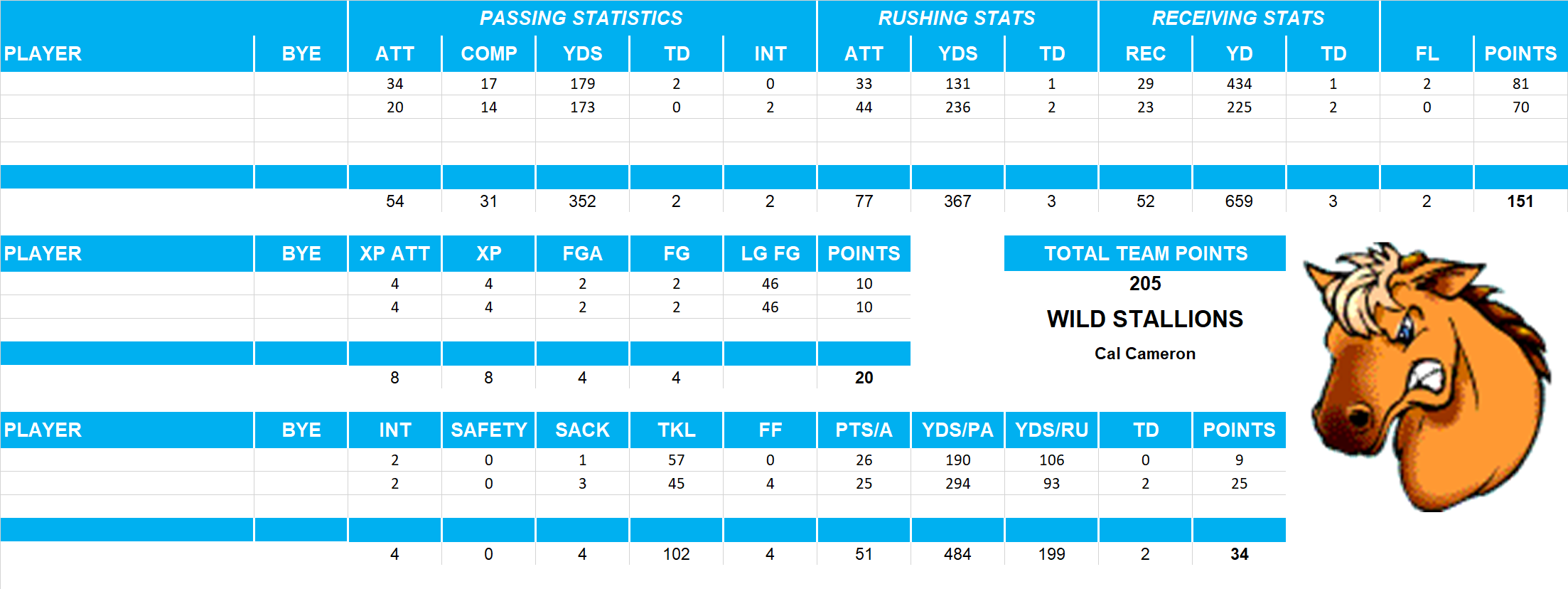 2014 National Football League Pool Playoff Team Stats
