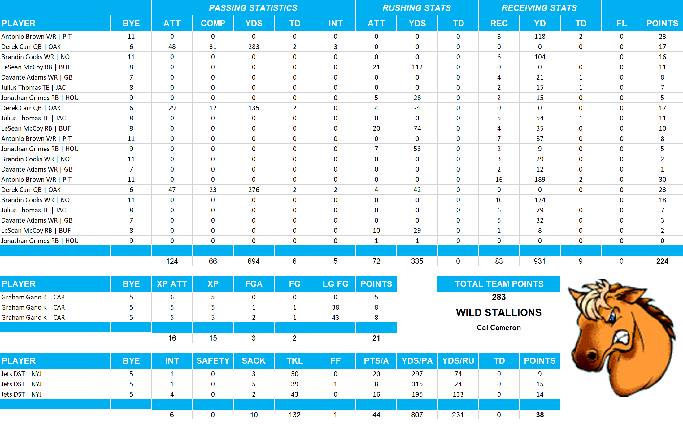 2015 National Football League Pool Playoff Team Stats