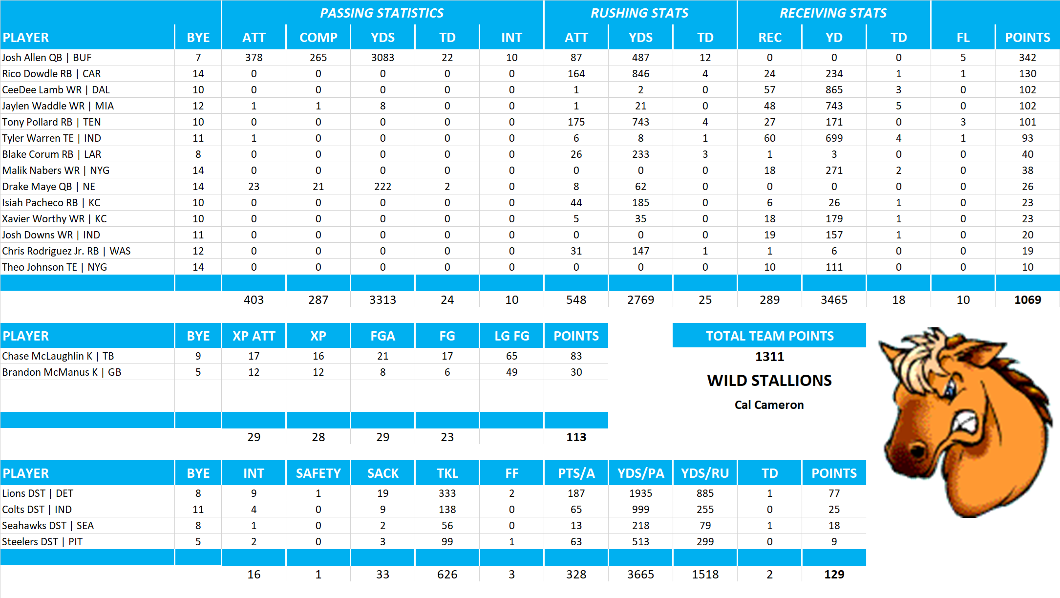 2025 National Football League Pool Team Stats