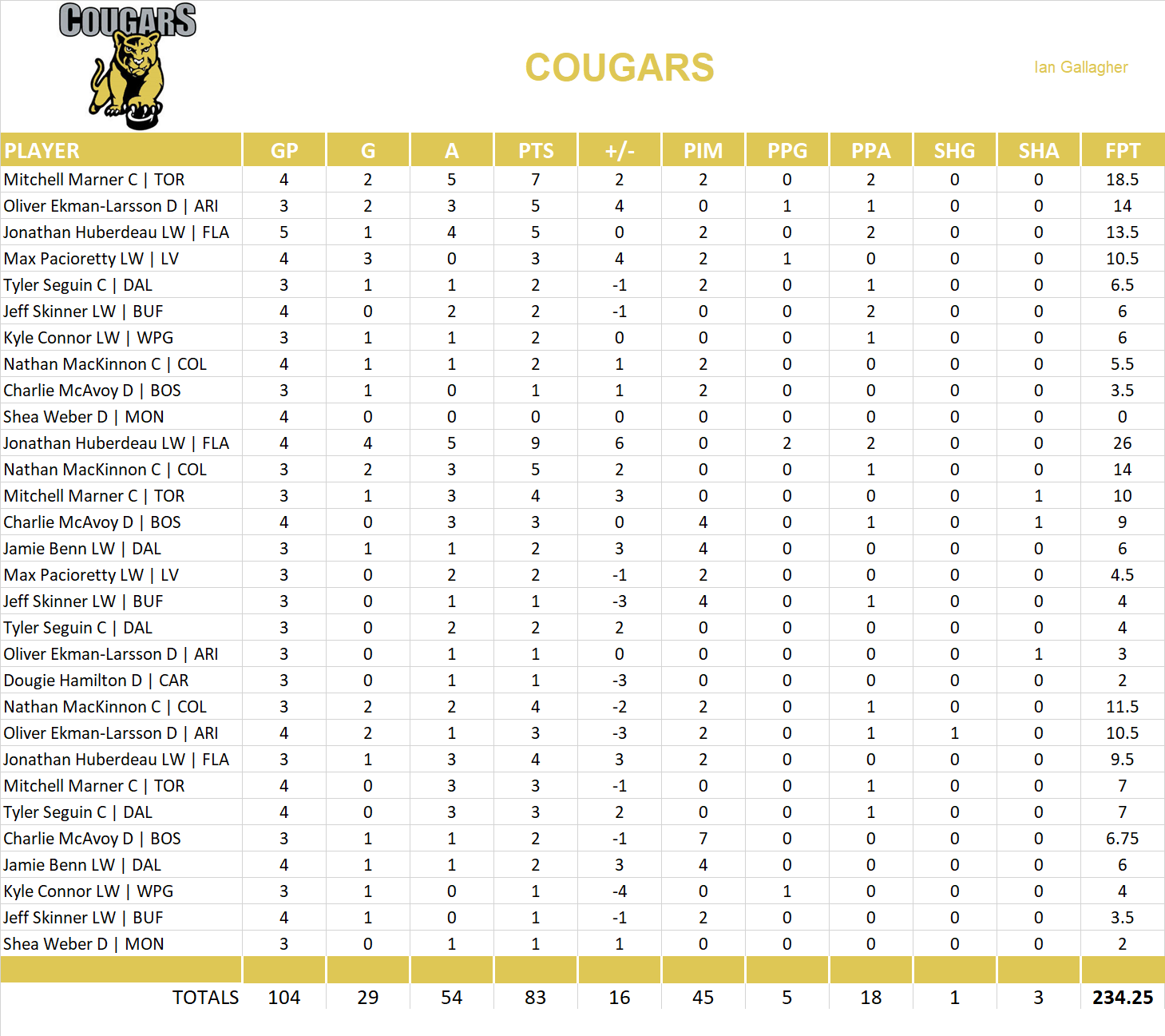 2018-2019 National Hockey League Pool Playoff Team Stats