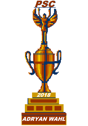 Pool Series Champion 2018